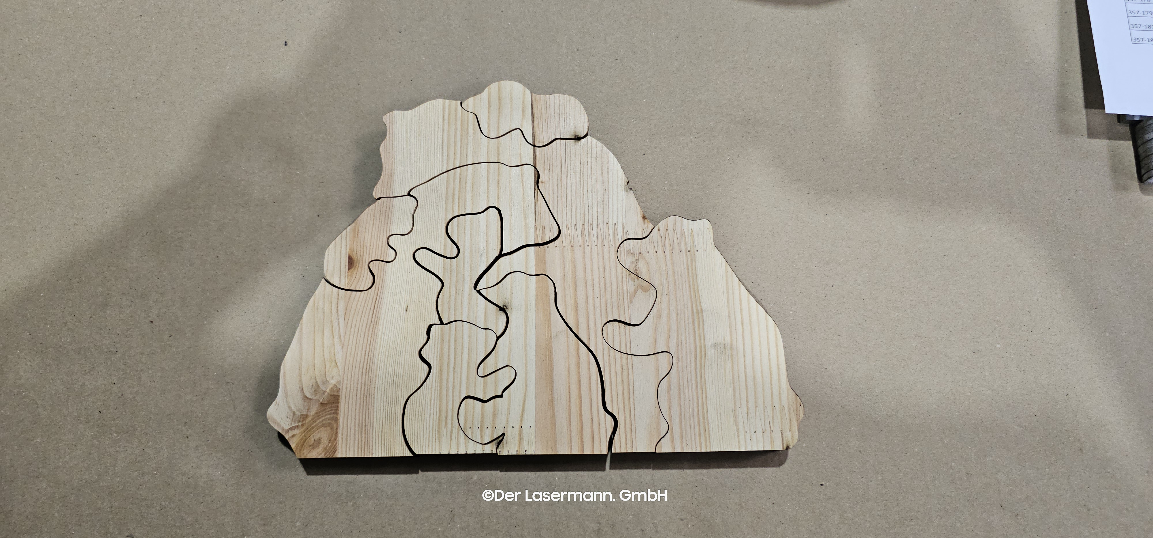 Der Lasermann GmbH Hanau - Referenzbilder